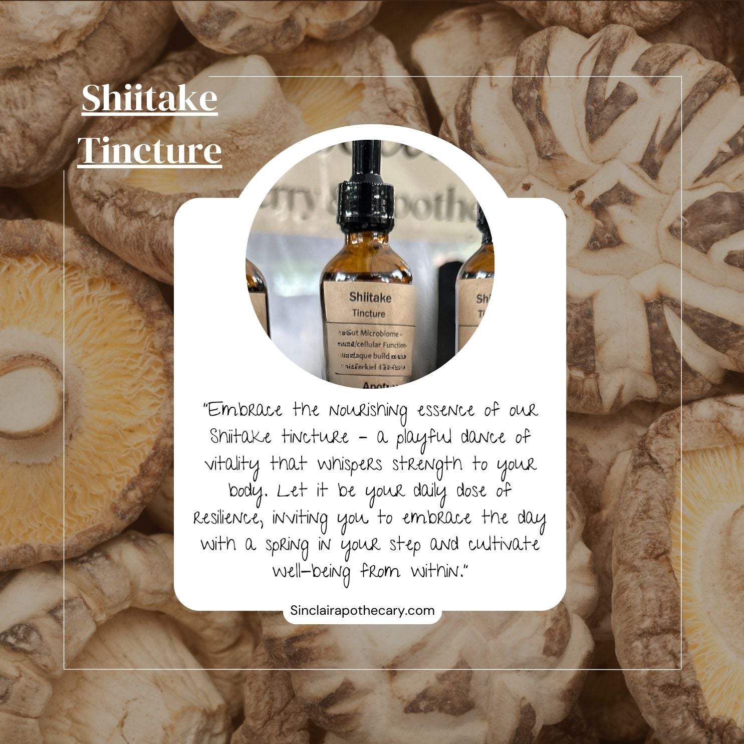 Shiitake Tincture Sinclair Elderberry